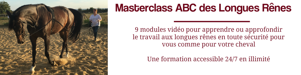 Masterclass Yoga Masterclass Yoga