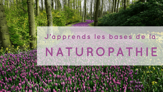Académie Avalon - formation - J'apprends les bases de la naturopathie Académie Avalon - formation - J'apprends les bases de la naturopathie