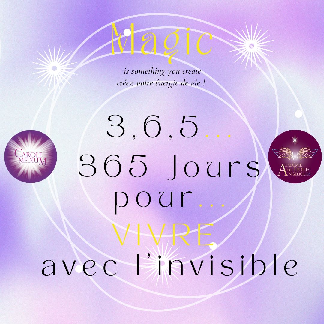 Invisible Date 3,6,5 365 jours pour vivre avec l'invisible