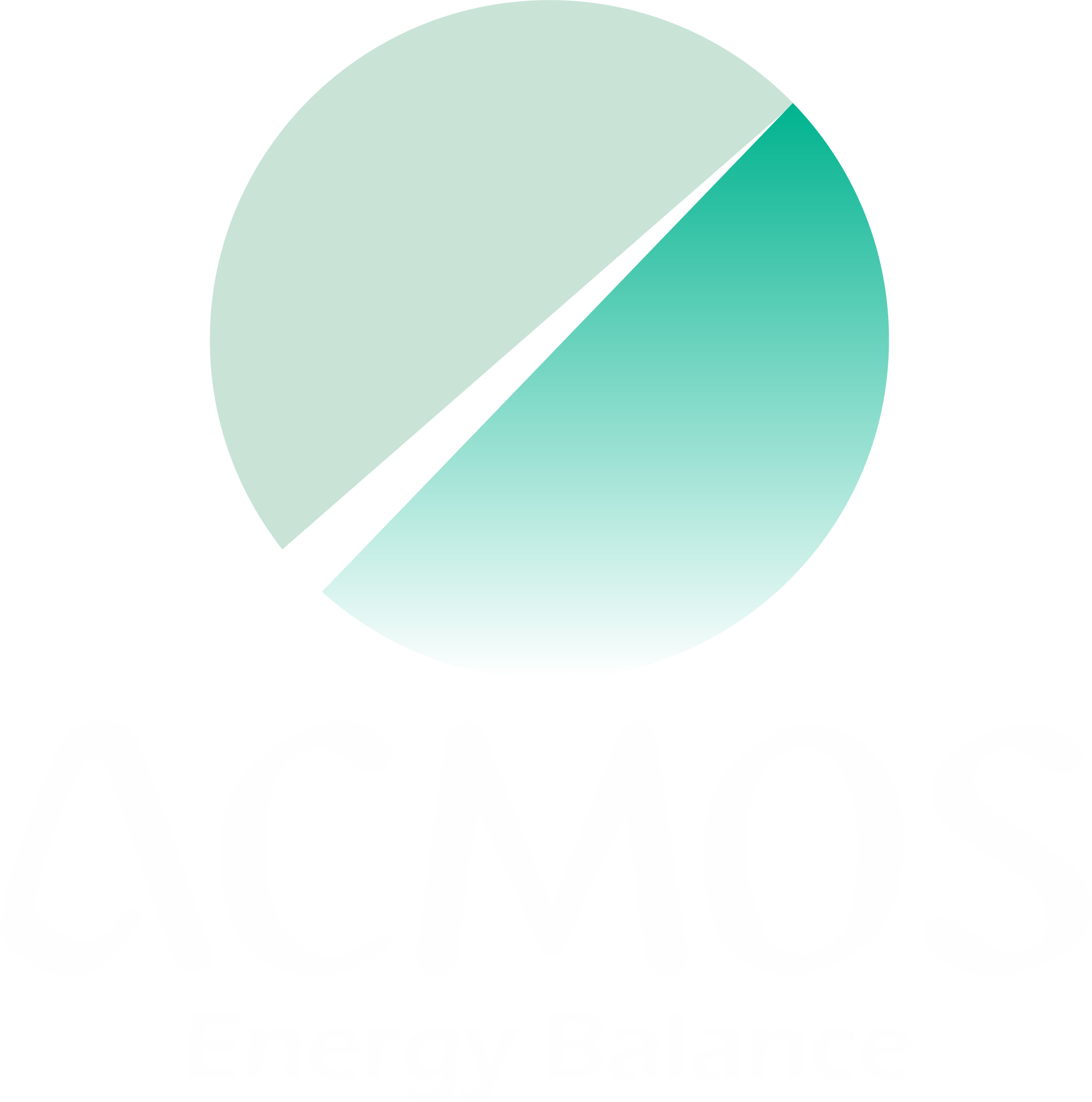 Logo_Acmos_TxtBlanc_Grad_ENG_2019