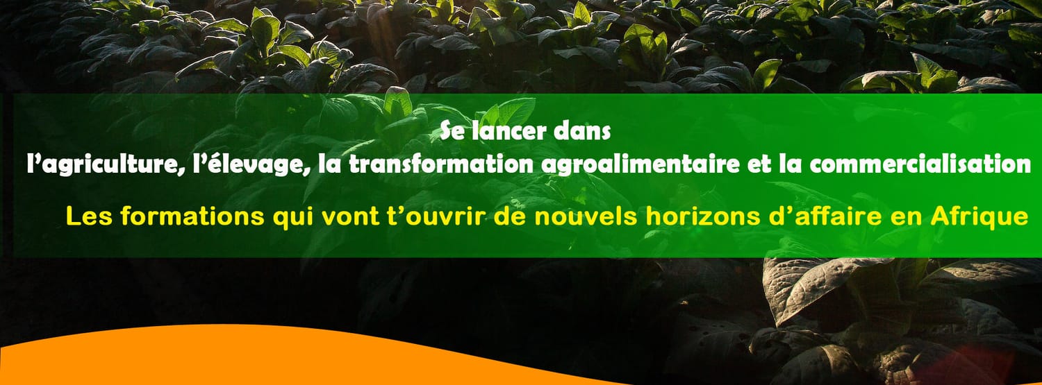 678ecc34901c2_51a88f5a292be0918034286bb6a5142f_1920x711_0x554_1920x1280_crop