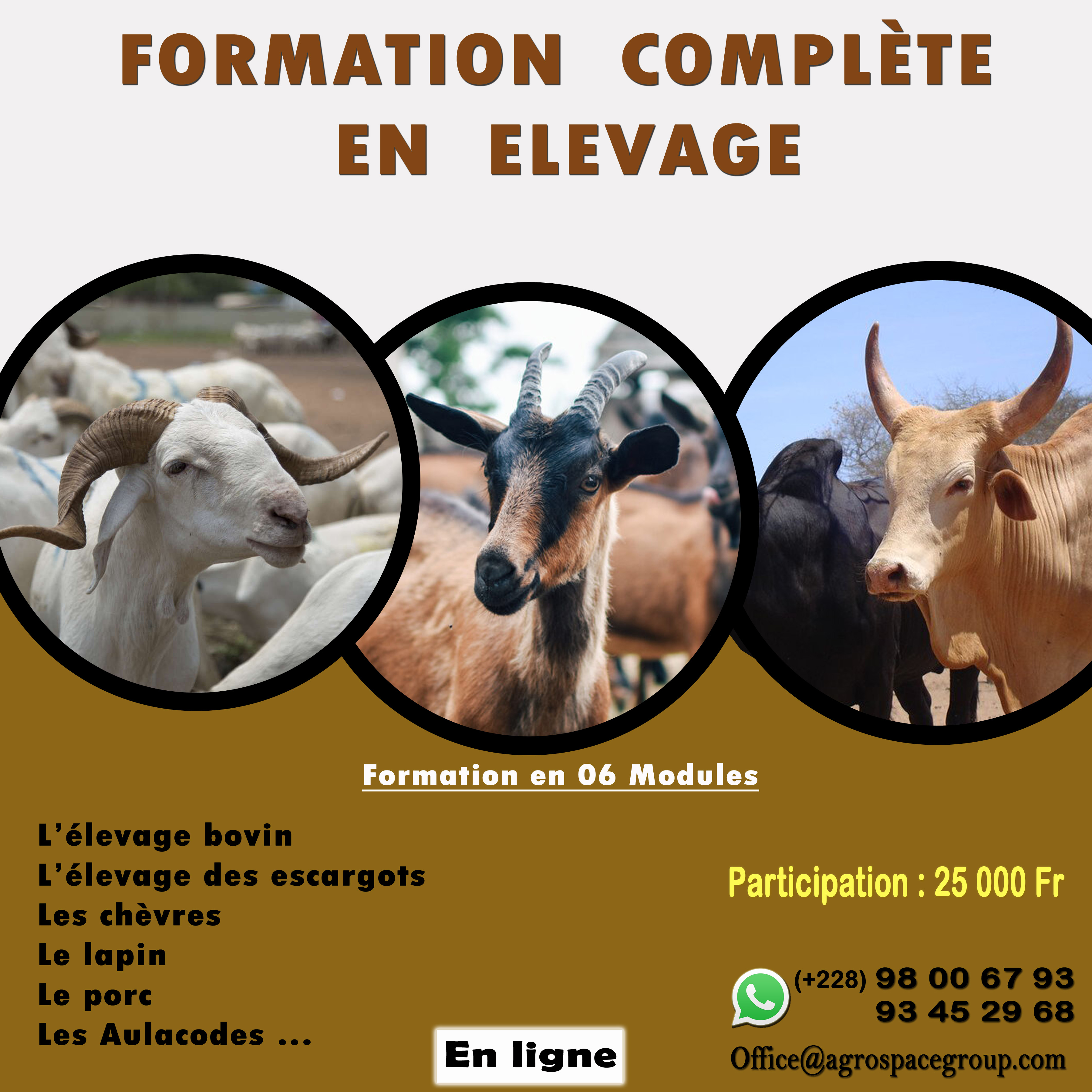 formation%20compl%C3%A8te%20en%20elevage