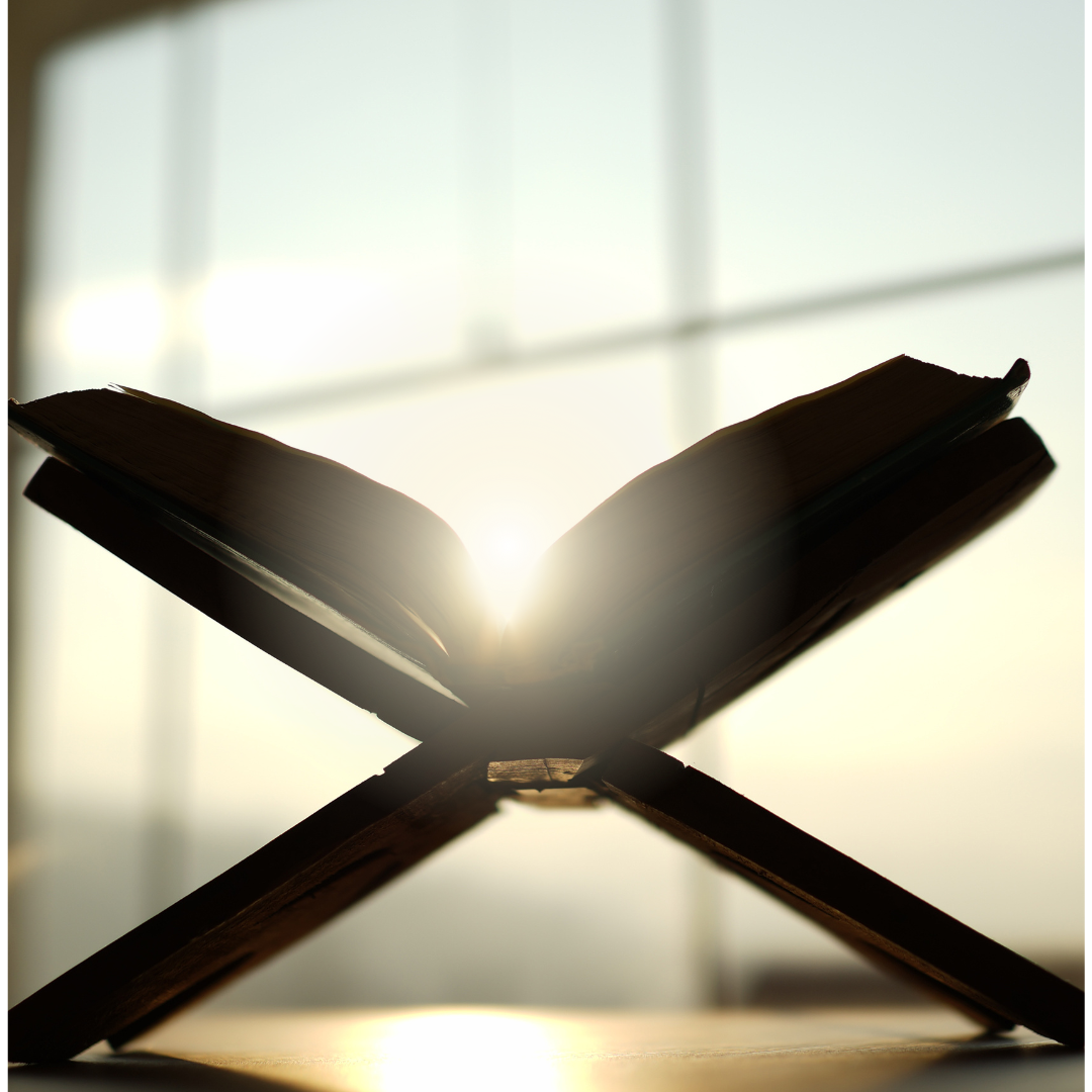 interface%20digitale%20de%20Tazkiyya%20Mon%20kit%C3%A2b%20digital%20Premium%20(2)