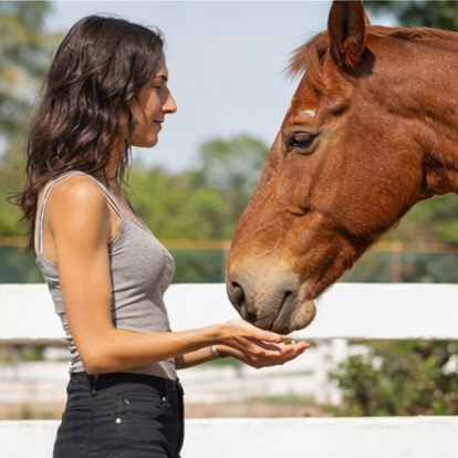 Travail%20harmonieux%20avec%20le%20cheval2