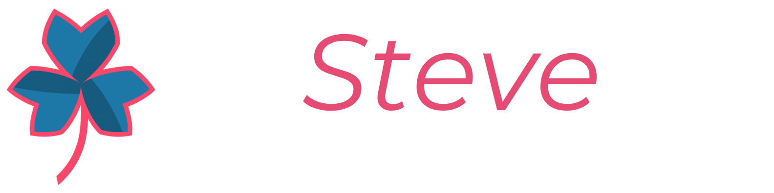 Bannière Steve Alexandre