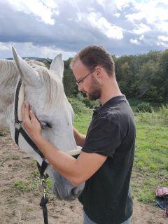 IMG20210929154318__240x320