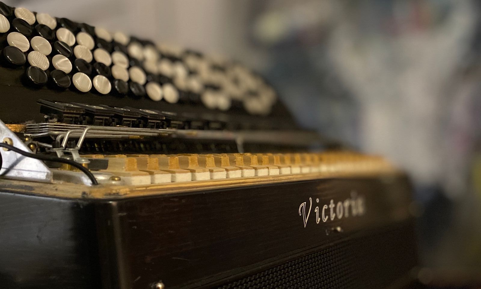 Accordeon%20Victoria%20Toucas