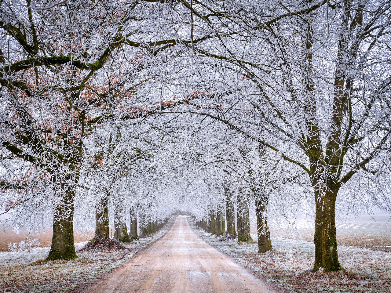 road-6935773_1280