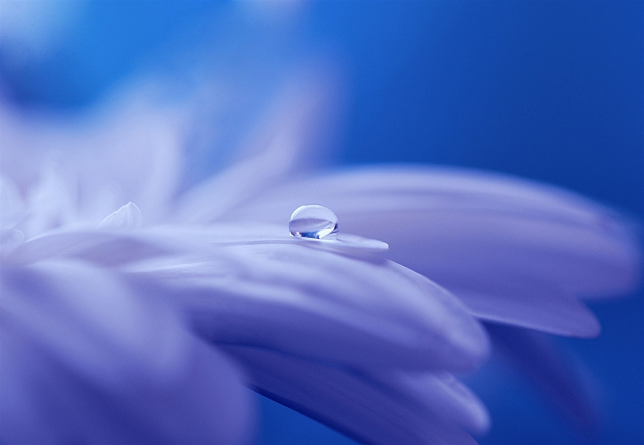 drop-of-water-571956_1280