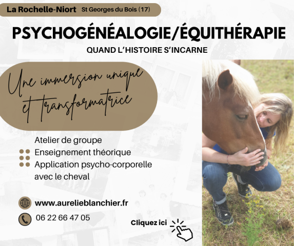 Découvrez la Psychogénéalogie avec les chevaux près de La Rochelle avec Aurélie Blanchier