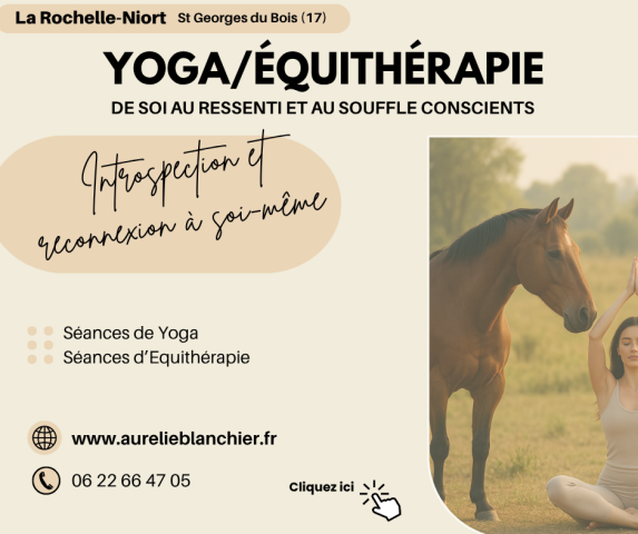 Journée Yoga avec les Chevaux avec les chevaux près de La Rochelle avec Aurélie Blanchier