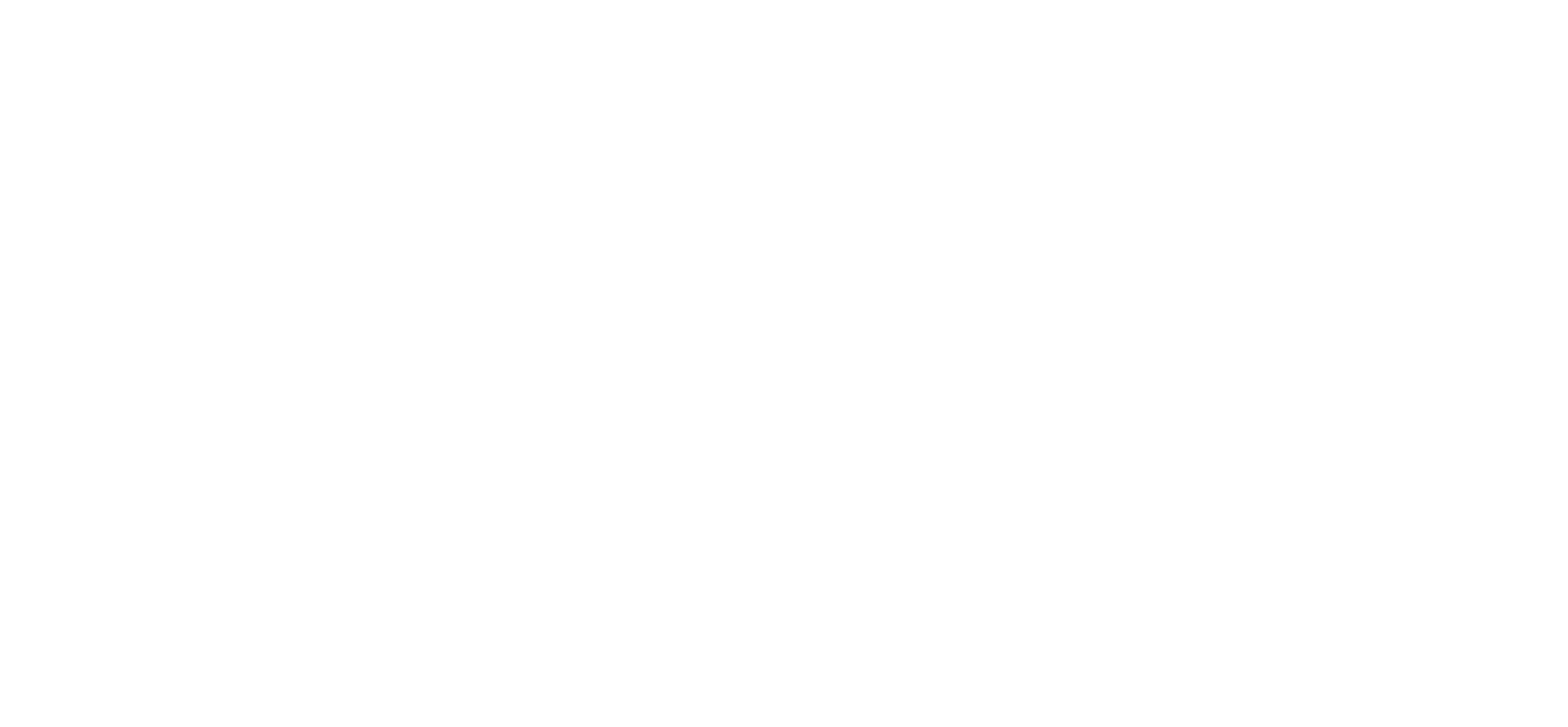 logo%20blanc%20ok