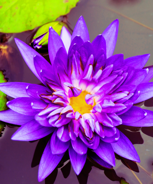 Illustration se libérer avec la Logosynthèse® et hypnose des blocages émotionnels et traumatismes