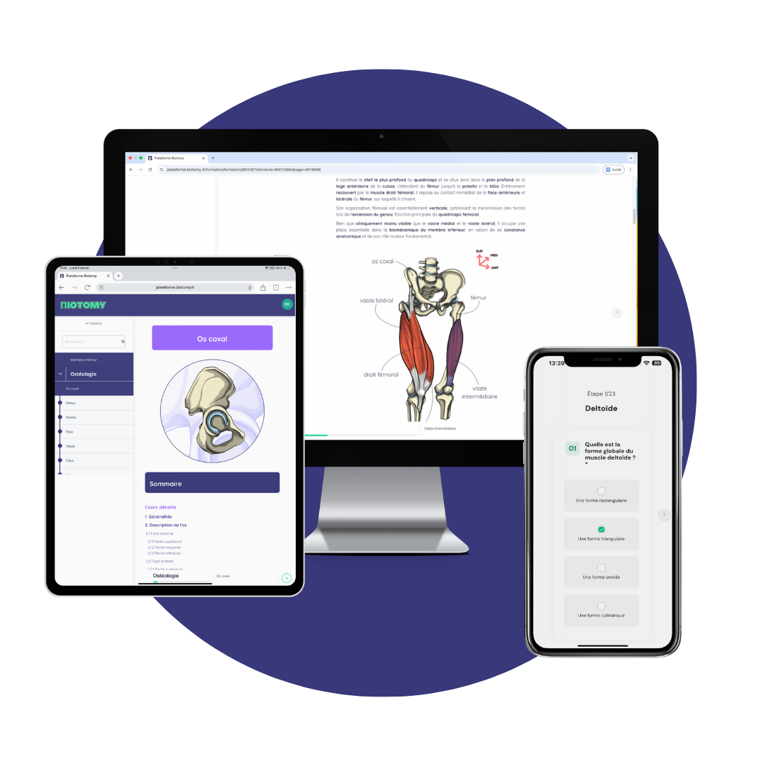 Mockup%20Plateforme%20global%202