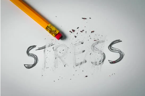 Capture%20d%E2%80%99e%CC%81cran%202024-11-13%20a%CC%80%2016_43_40