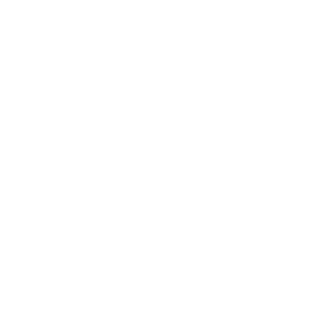 Bioanalogie%20%20logos