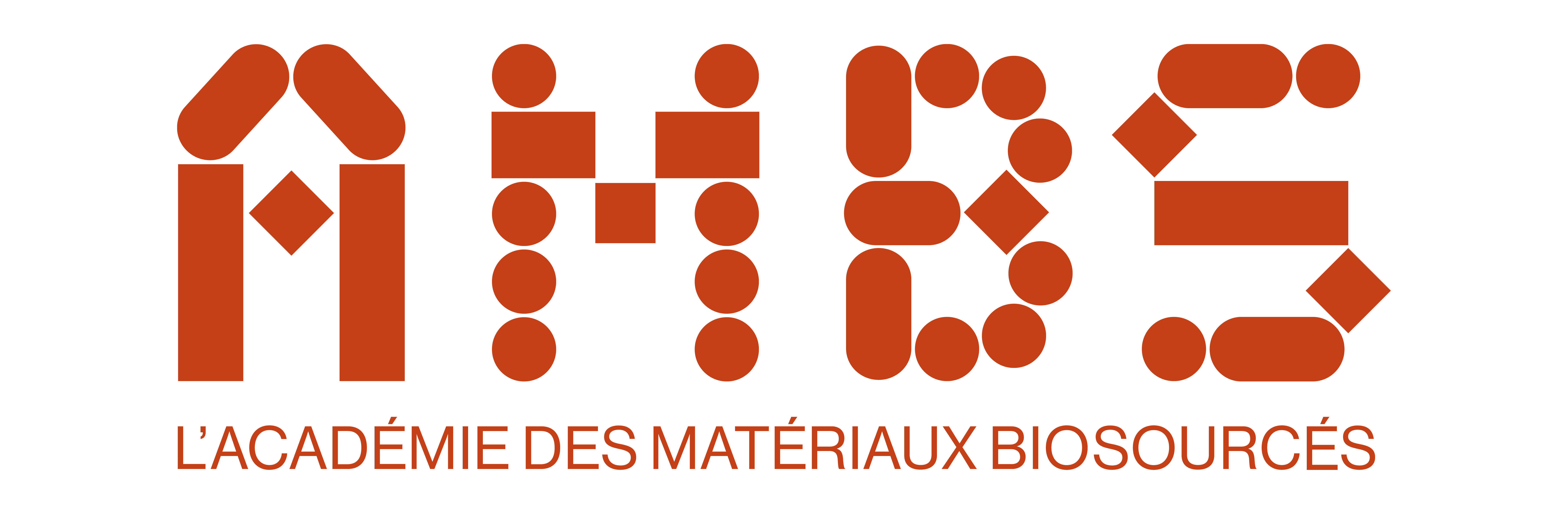 AMBS_Logo_grand_couleur_AMBS
