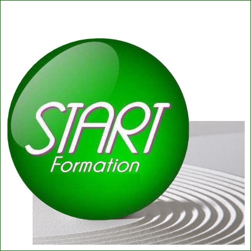 Formation Flash - Michel Brassinne