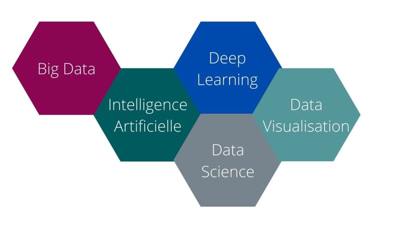 Data%20Graphisme__800x453