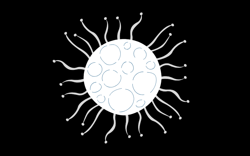 Face au cancer des erreurs administratives, comment immuniser votre entreprise dans les marchés publics ?