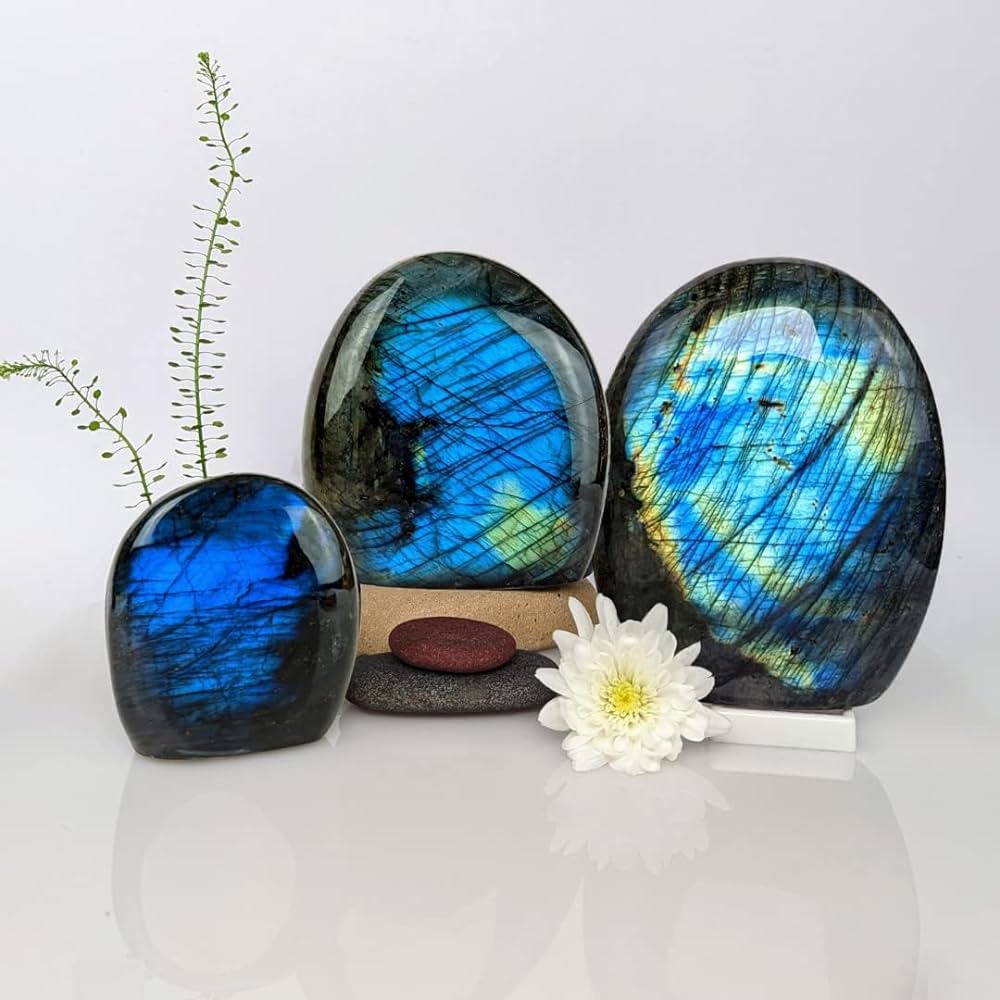 61-5l4WsTZL__AC_UF1000%2C1000_QL80_