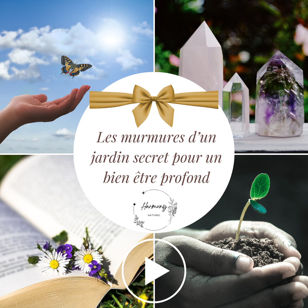 Miniature%20vid%C3%A9o