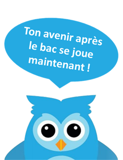 Les préparations de la Chouette Académie Les préparations de la Chouette Académie