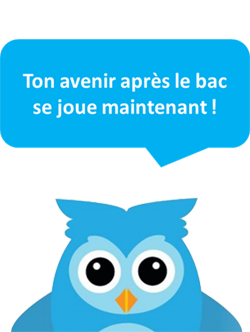 Les préparations de la Chouette Académie Les préparations de la Chouette Académie