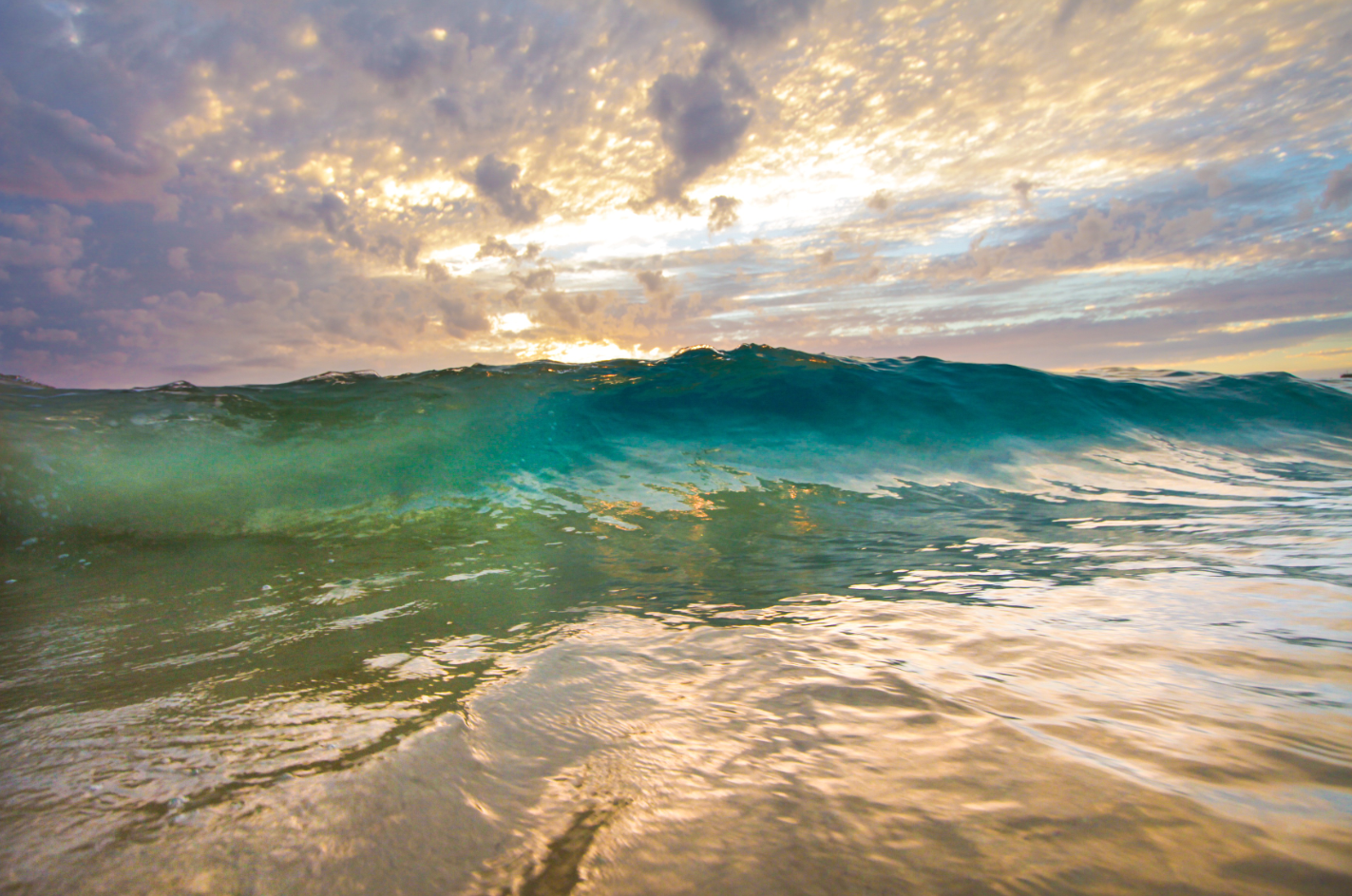 Capture%20d%E2%80%99%C3%A9cran%202025-04-18%20204929