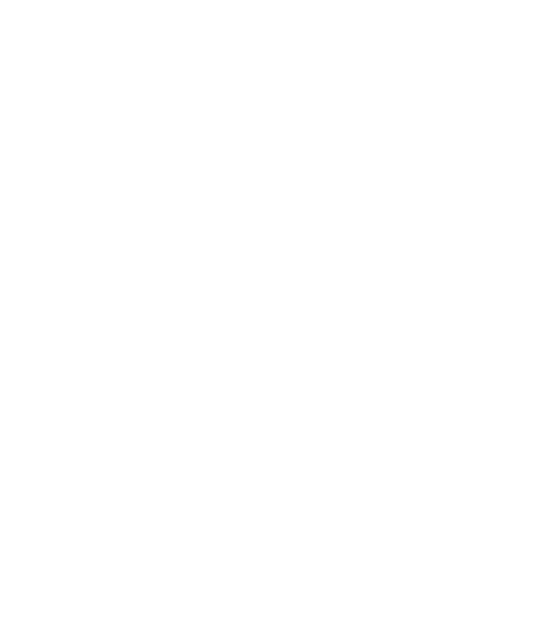 logo_borntobe_white_nobloc