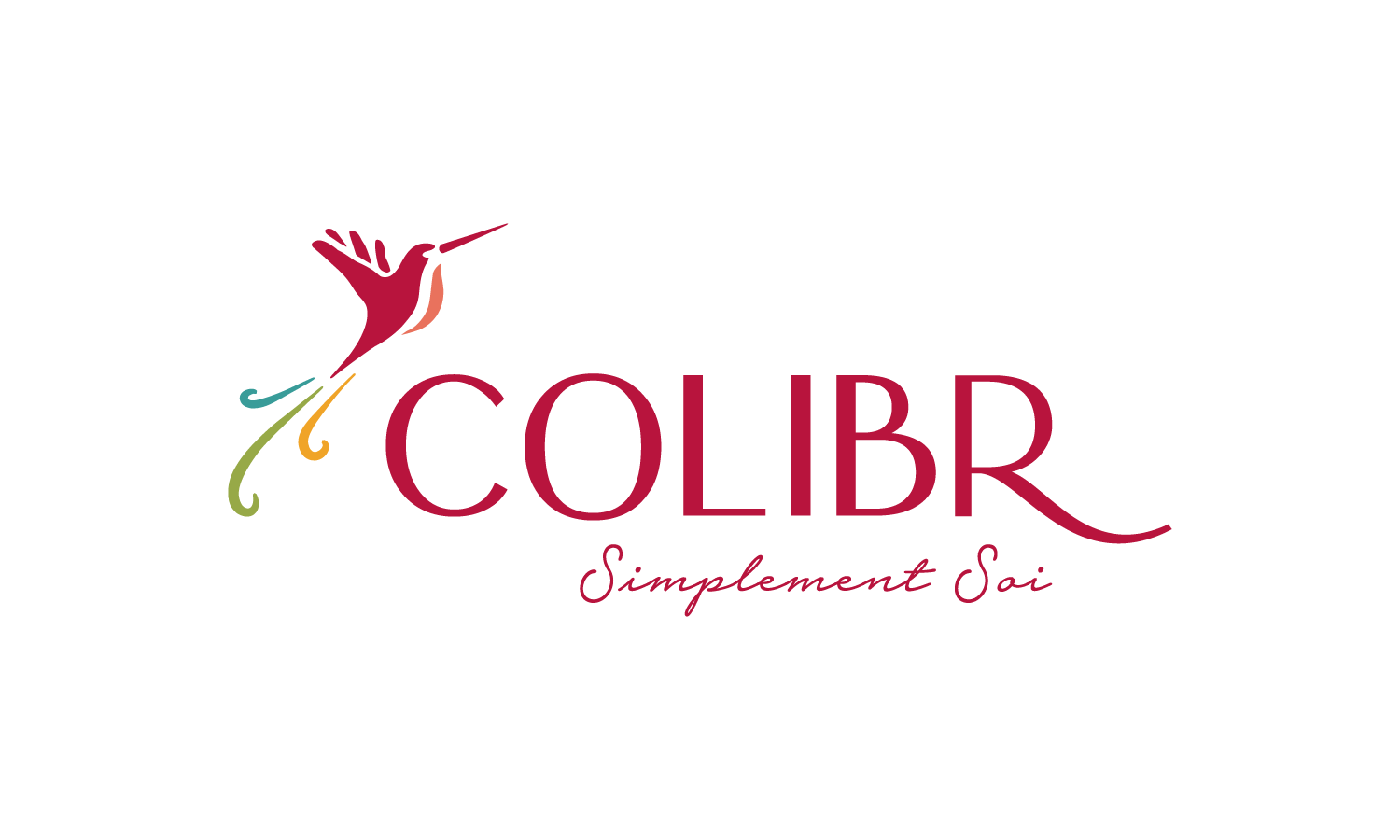 Logo-Multicolore-Horizontal-Fond-Clair-Transparent