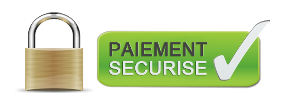 logo-pay-secur
