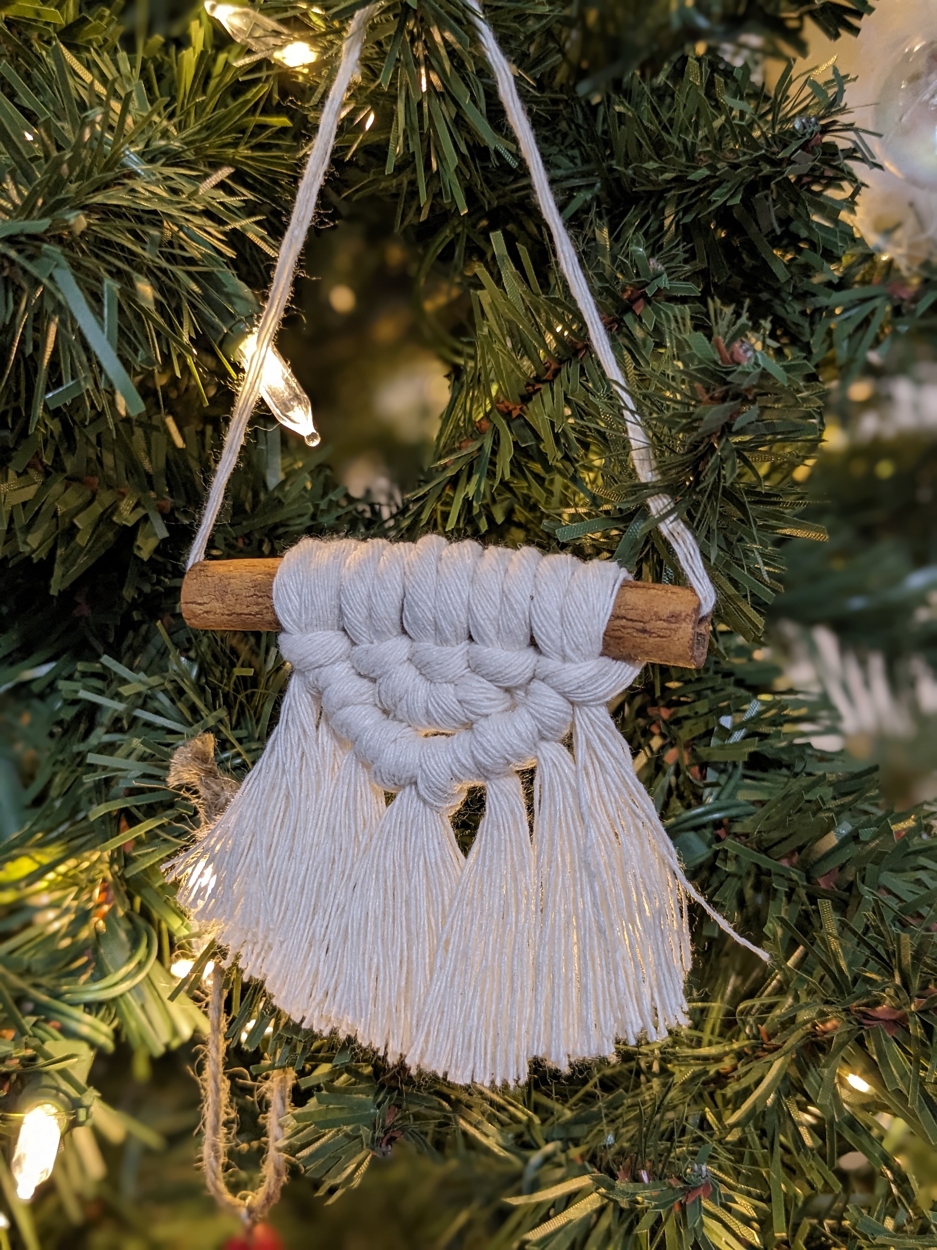 PXL_20231119_234517383_PORTRAIT