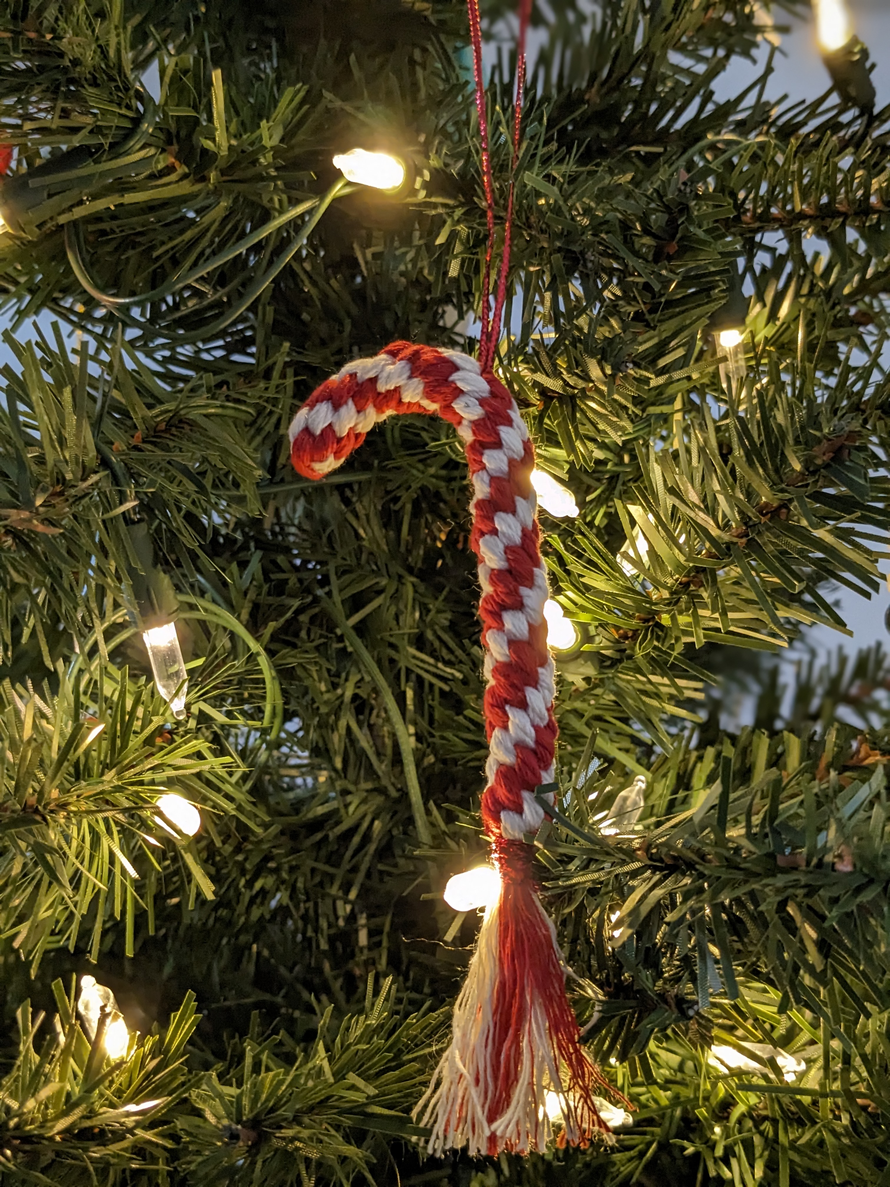 PXL_20231119_234826900_PORTRAIT