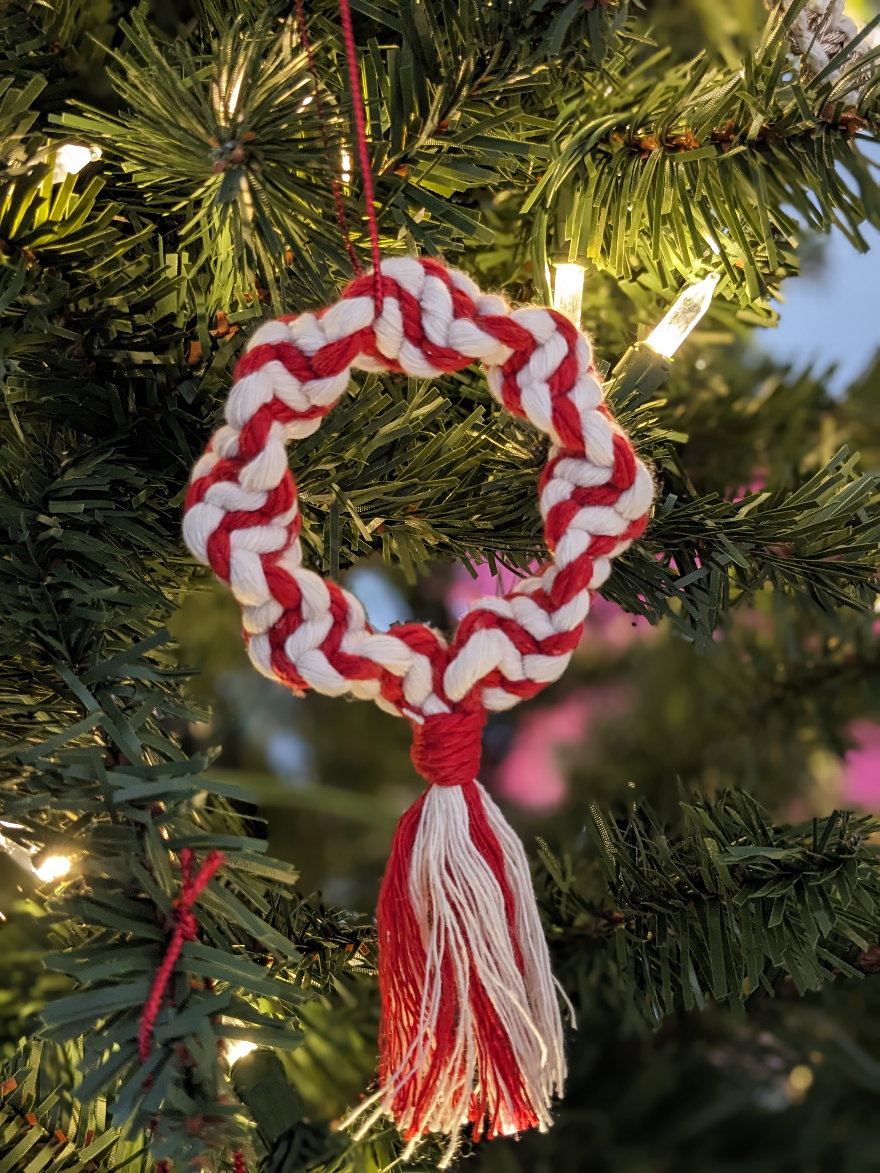 PXL_20231119_235107992_PORTRAIT