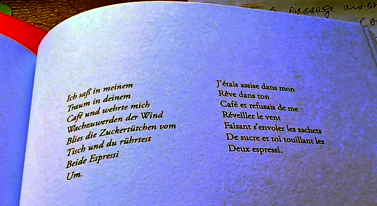 Kirsh%20caf%C3%A9(1)