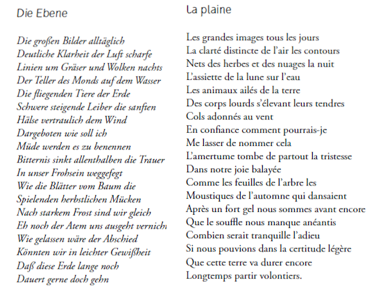 plaine2(1)