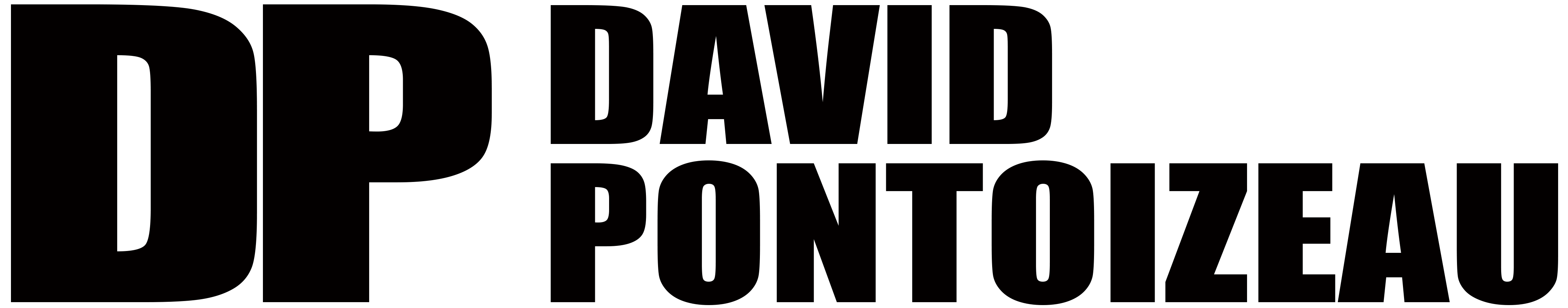 logo_david_pontoizeau_V1_noir