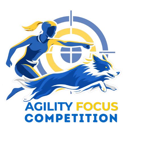 AGILITY%20FOCUS%20COMPETITION%20(1)