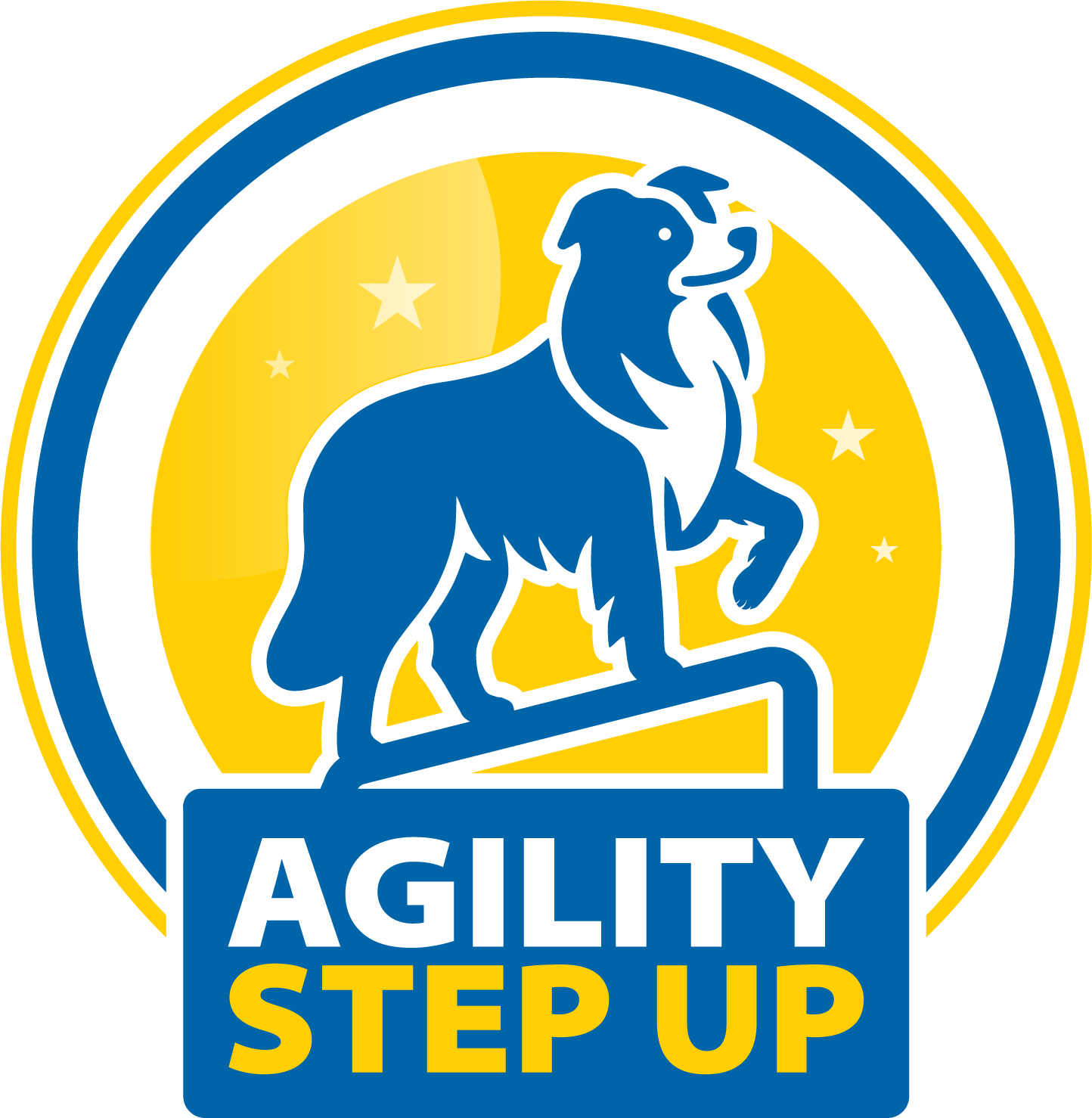 AGILITY%20STEP%20UP