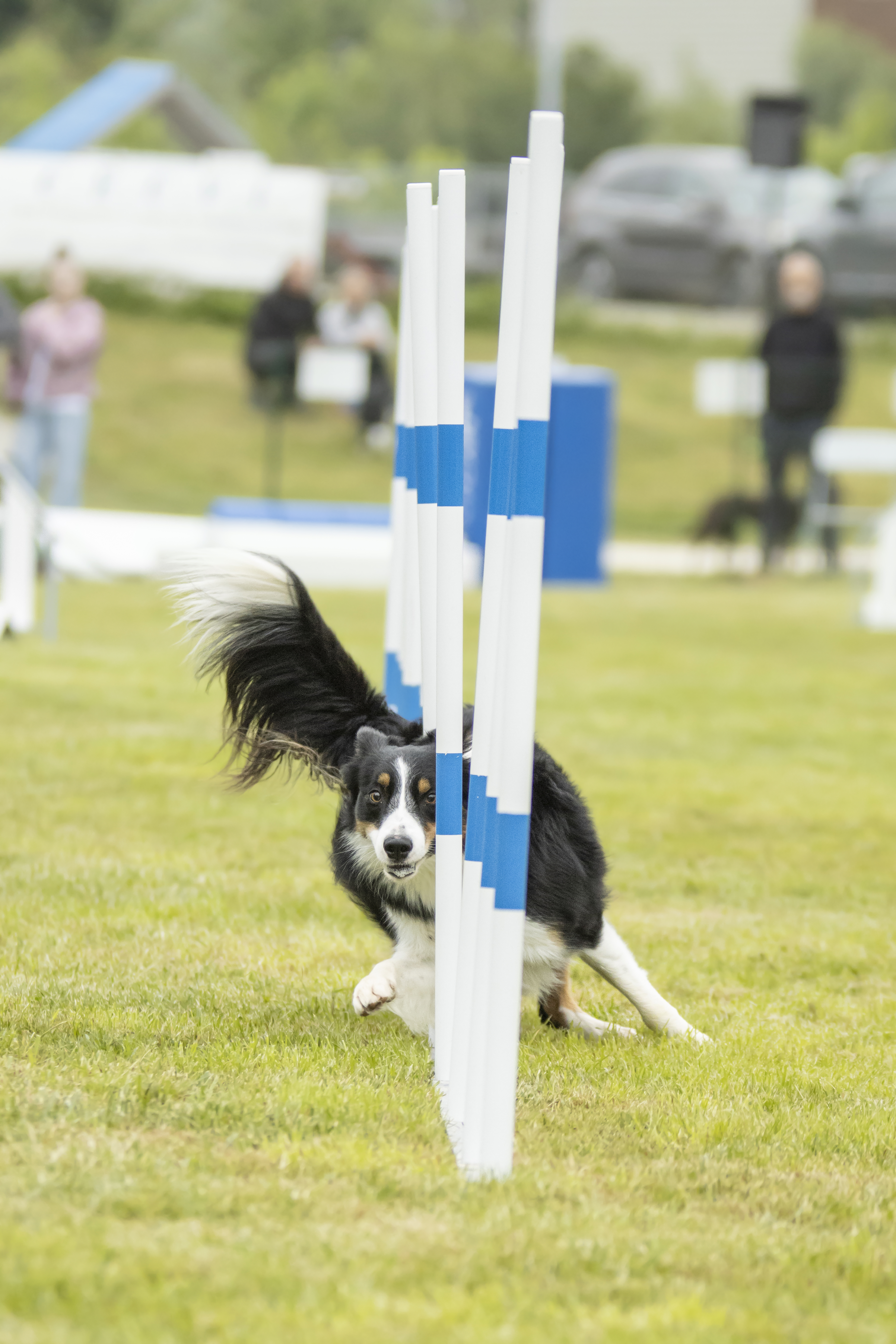2-3Agility1(46)