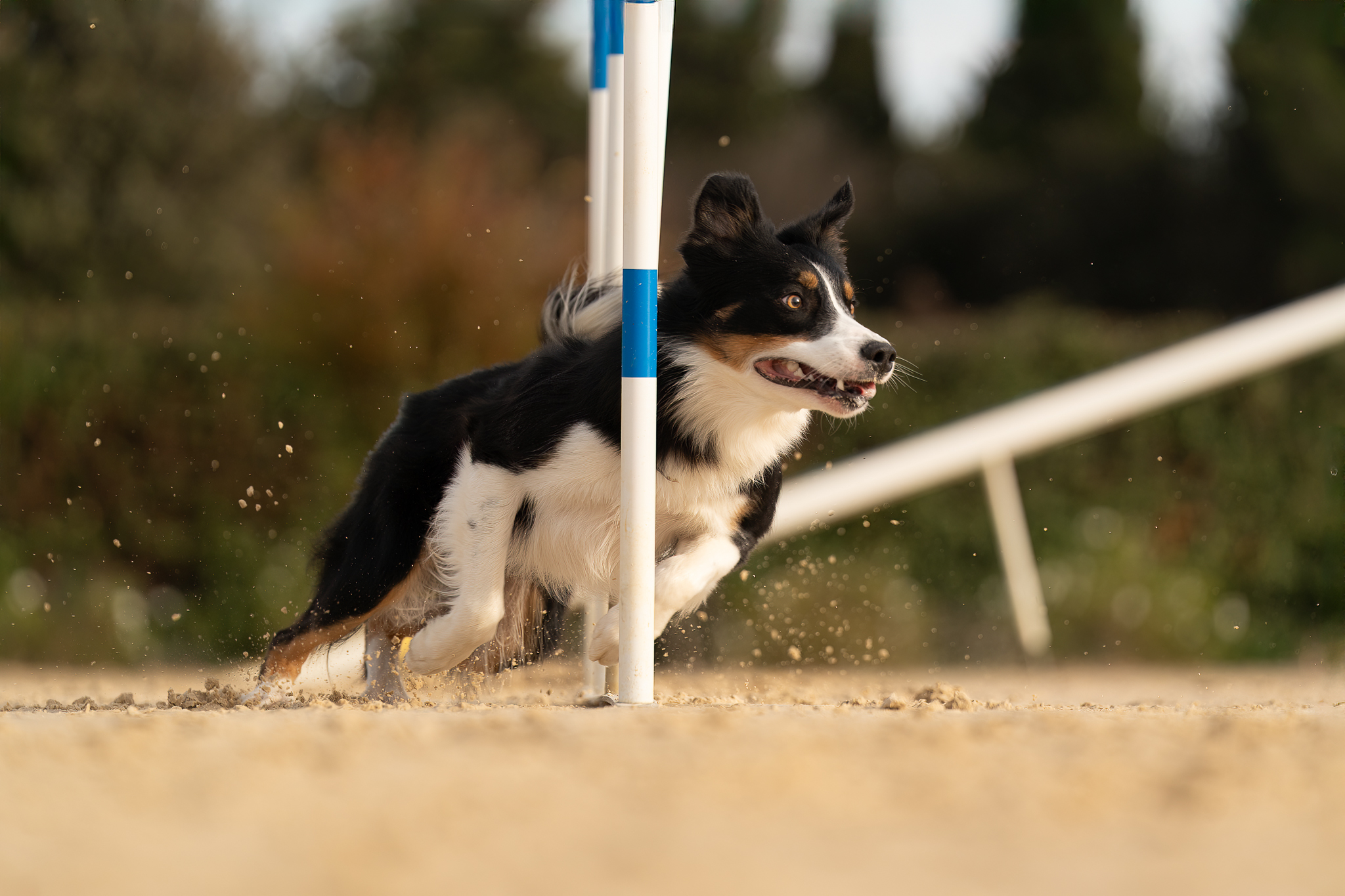 Plane%CC%80te%20Agility%20-%20Lou%20cabanoun-12