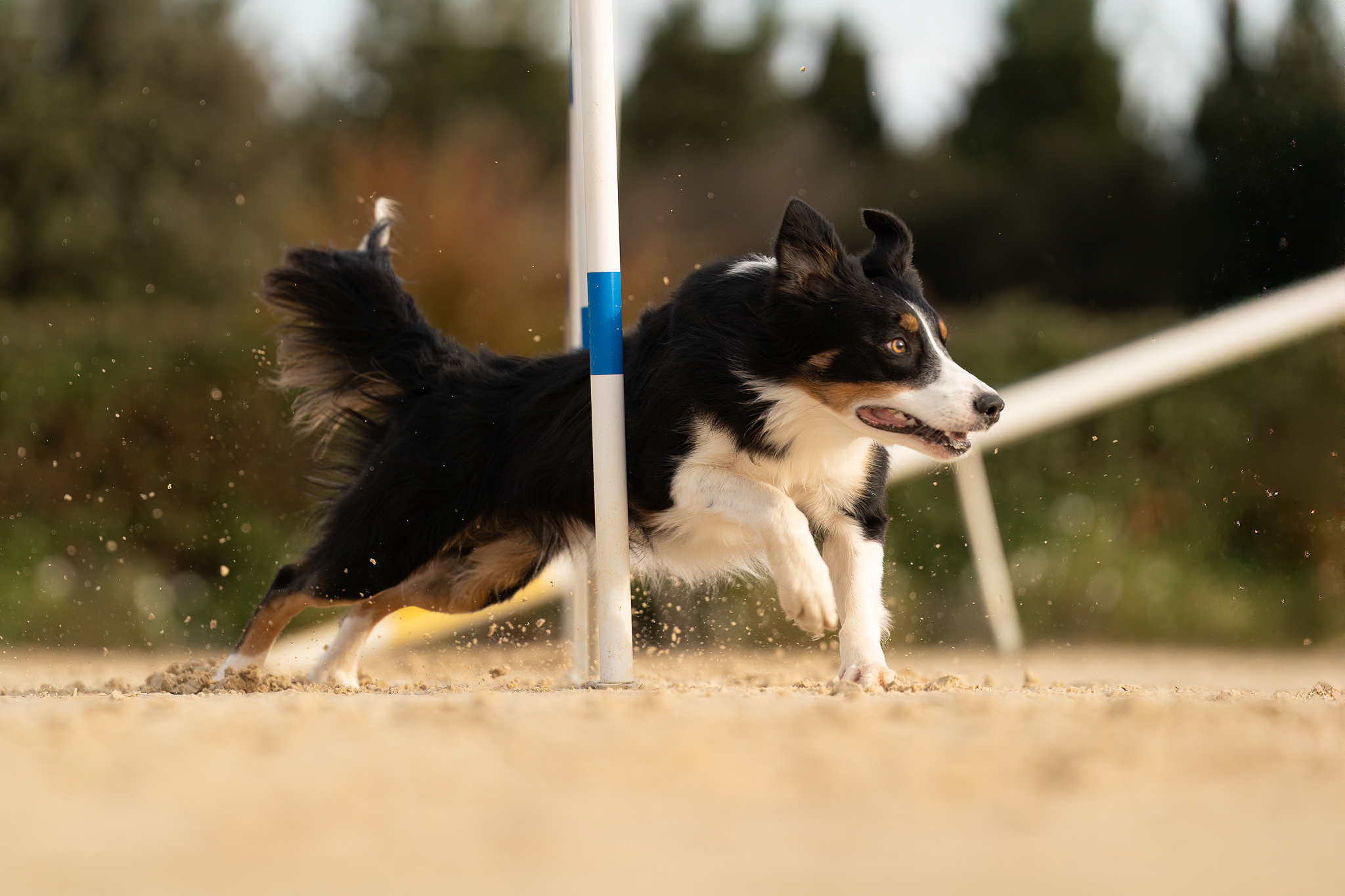 Plane%CC%80te%20Agility%20-%20Lou%20cabanoun-13