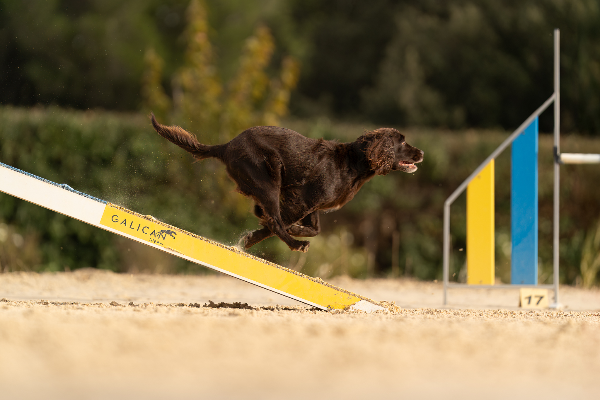 Plane%CC%80te%20Agility%20-%20Lou%20cabanoun-3