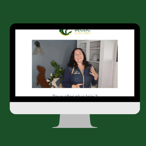 mockup%20final%20cdi%20(1)