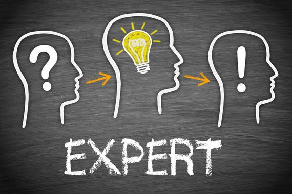 expert