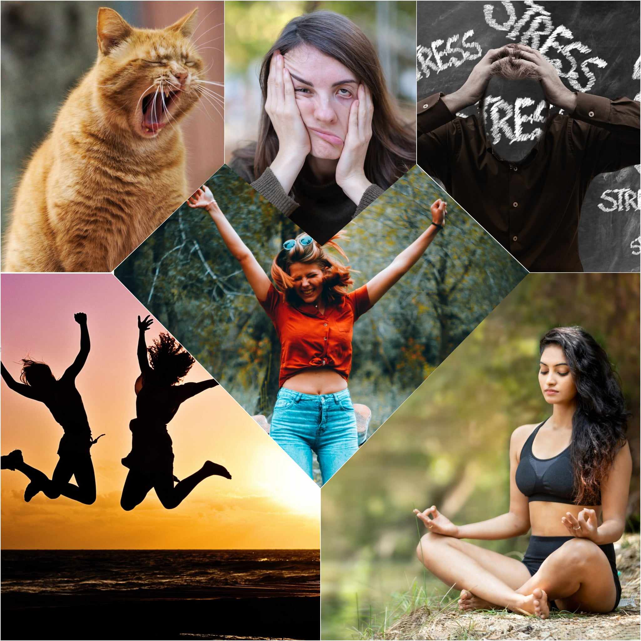 398201065_714932850671750_403297283745295131_n