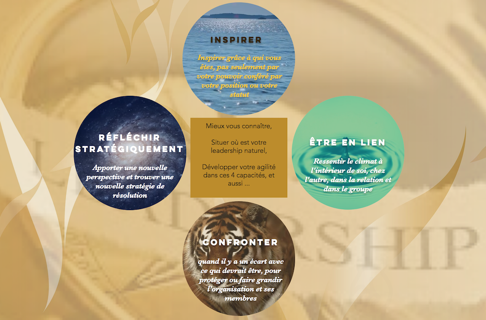 4capacitesLeadership