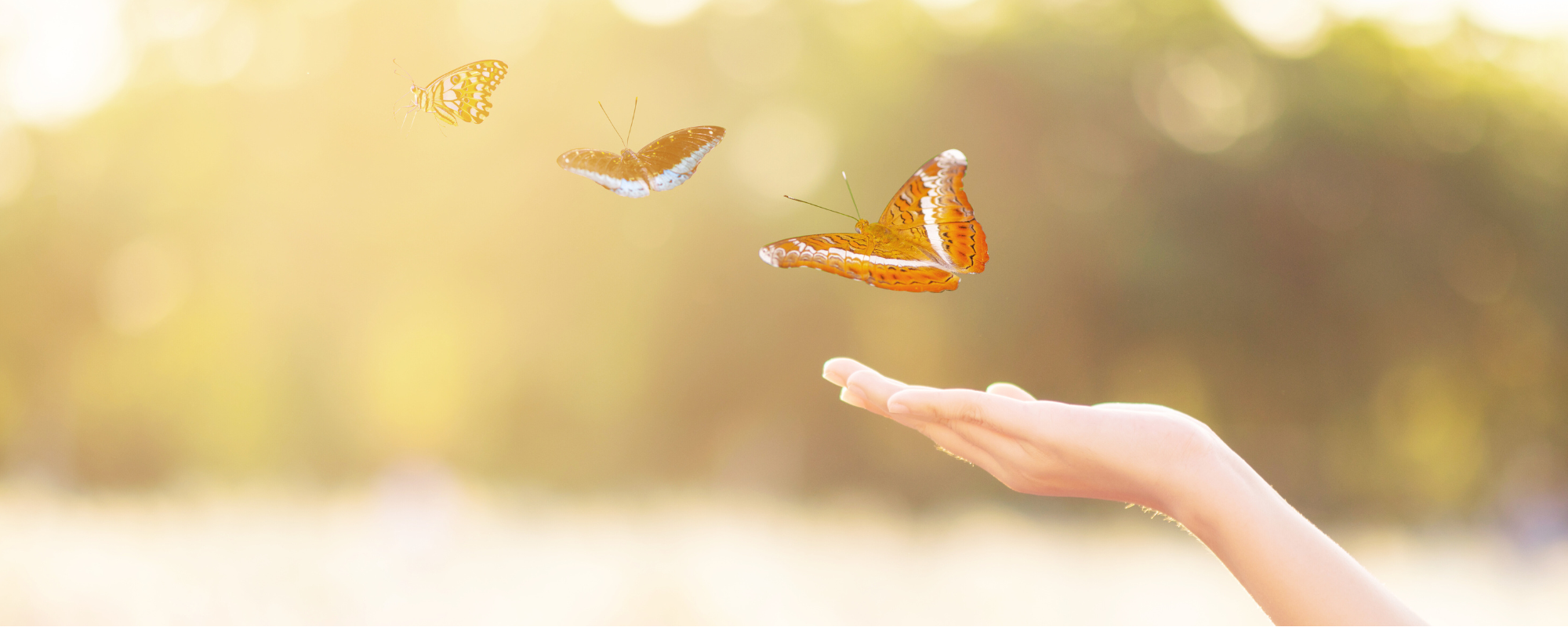 Etape%201%20TDV%20LEDC