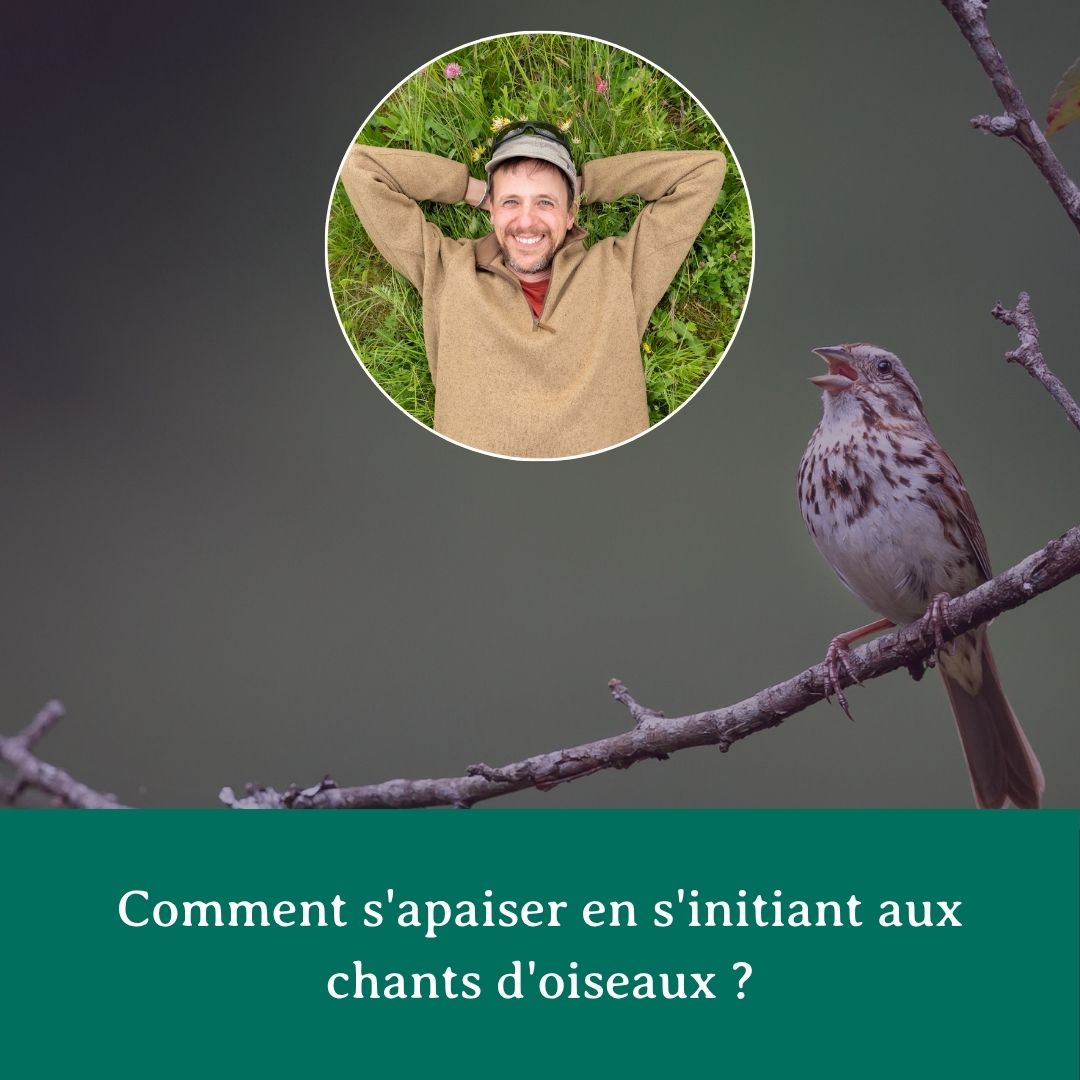 16-Julien%20PERROT%20(1)